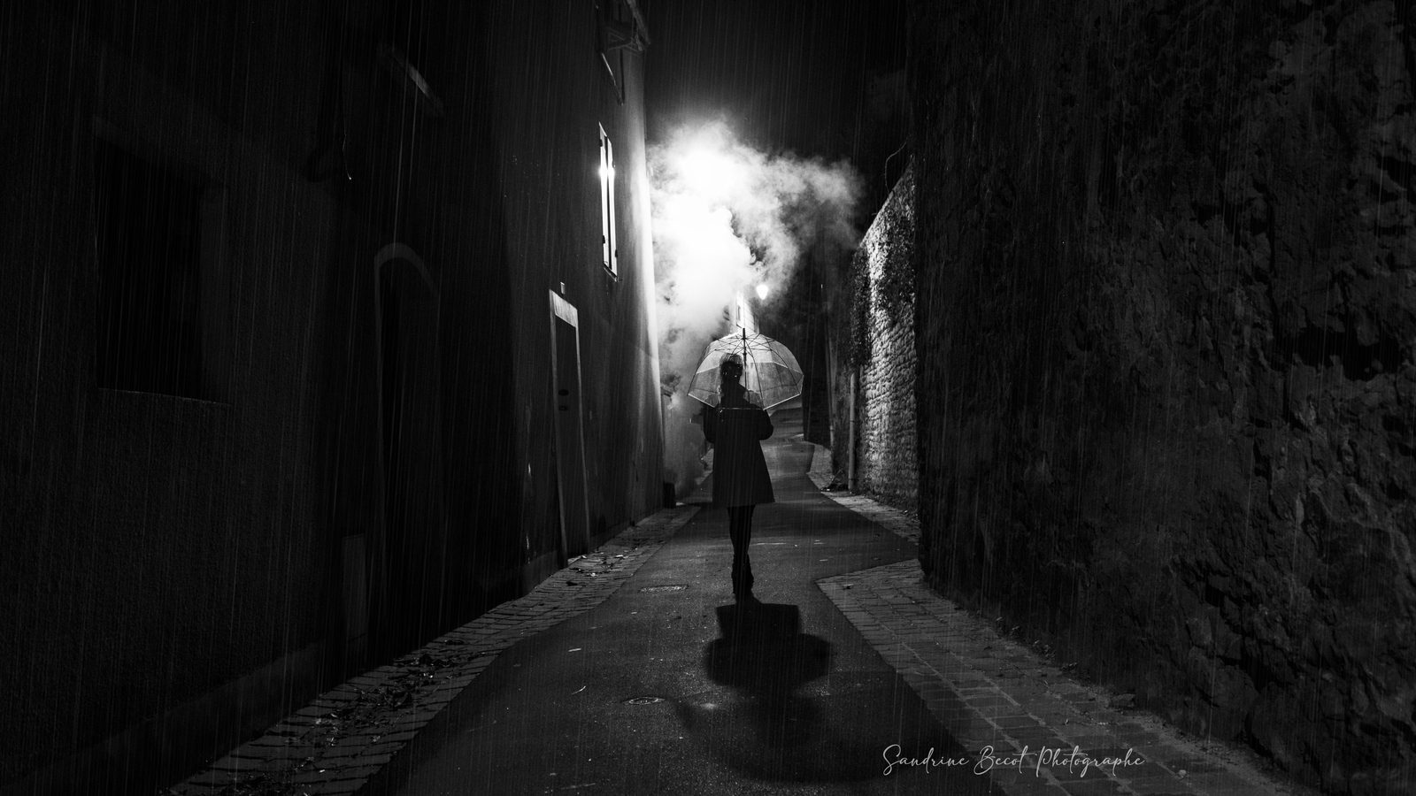 Portrait professionnel en lumière naturelle en Vendée